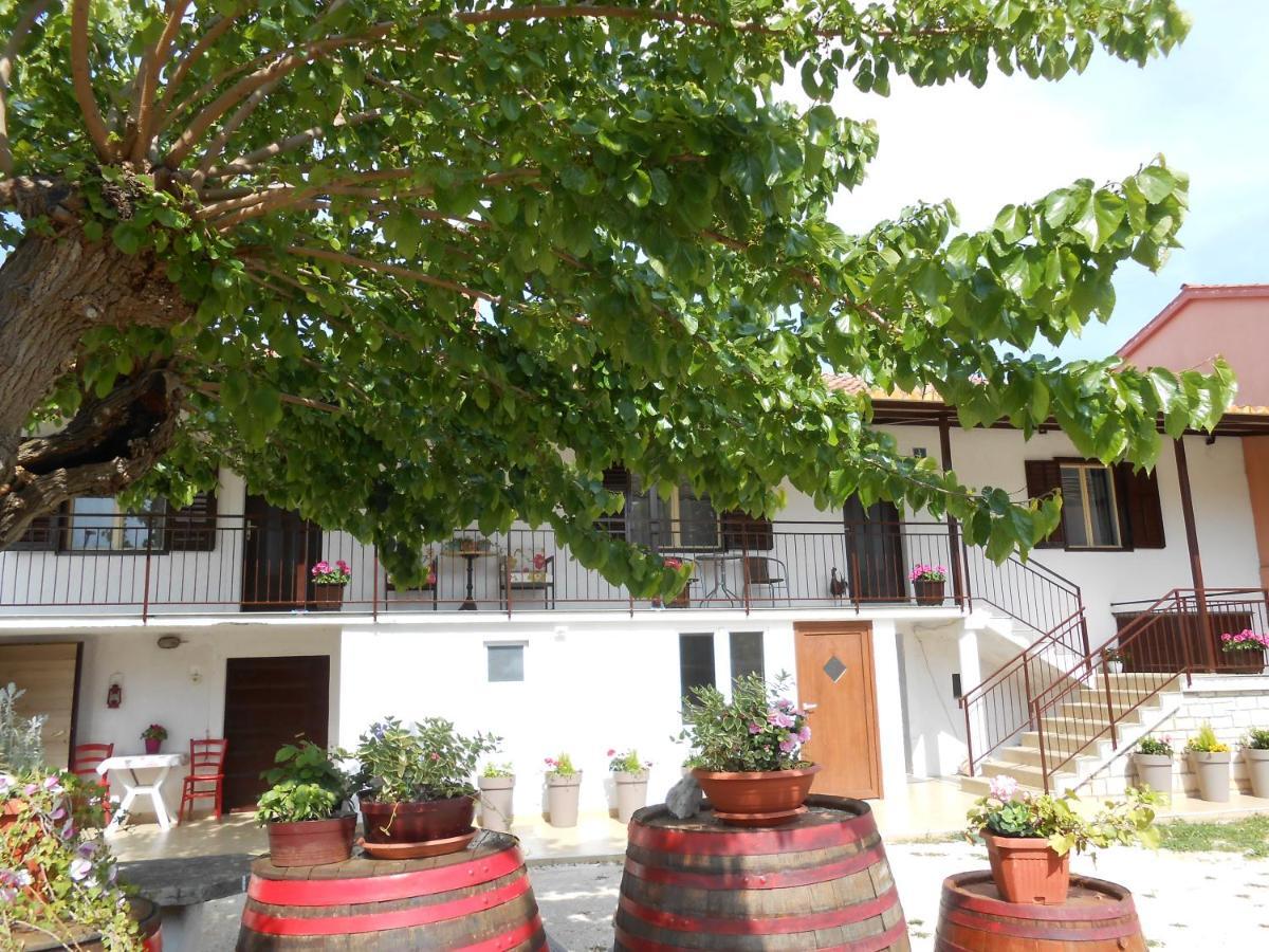 Apartamento The Golden Well Rovinj Exterior foto